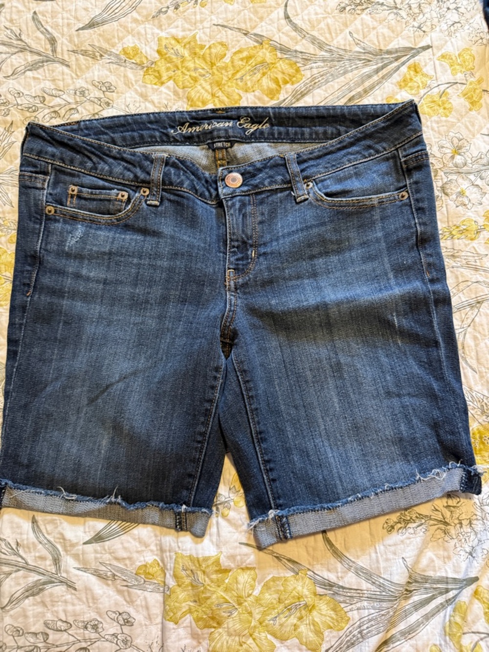 American Eagle Blue Stretch Denim Shorts with Branded Button